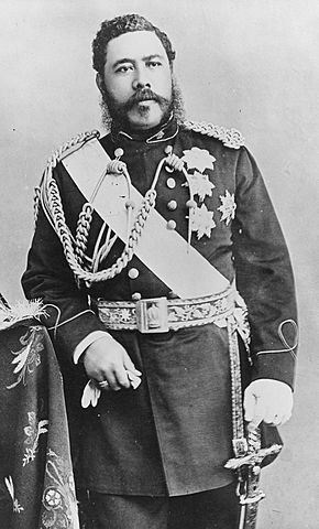 Bayonet Constitution