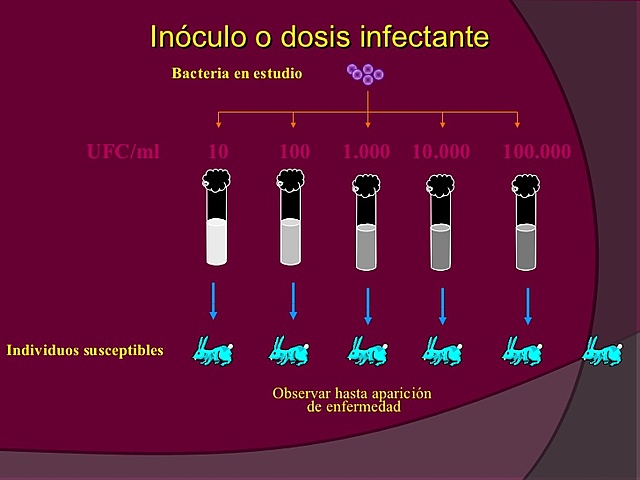 Analisis de enfermedades