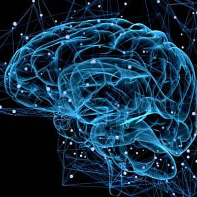 Timeline: Desarrollo histórico de la neuropsicología