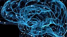 Timeline: Desarrollo histórico de la neuropsicología