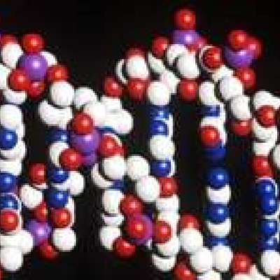 Timeline: GENÉTICA.