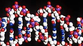 Timeline: GENÉTICA.