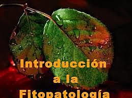 Teofrasto (370-286 a.n.e)