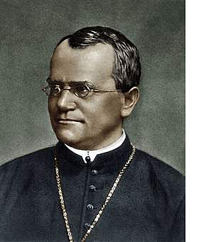 Leyes de la Herencia