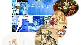 Timeline: LINEA DEL TIEMPO TOXICOLOGIA BEYANIRA GUALTERO M