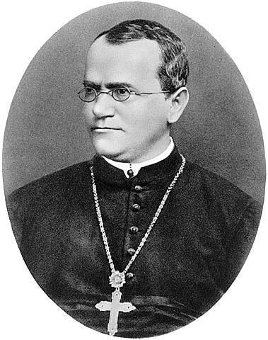 Law of Heredity by Johann Gregor Mendel