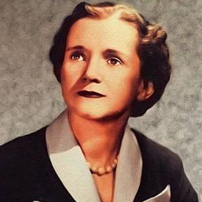 Timeline: Nettie Stevens