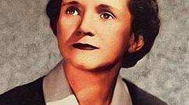 Timeline: Nettie Stevens