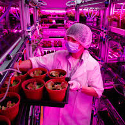 Timeline: Desarrollo Sustentable