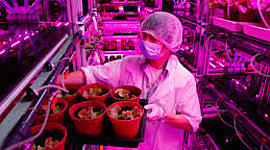 Timeline: Desarrollo Sustentable