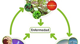 Timeline: HISTORIA DE LA FITOPATOLOGIA
