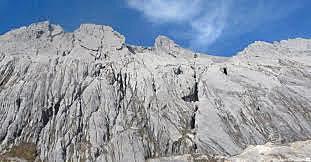 Climbing in the jungle gym