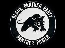 Movimiento Panteras Negras, Estados Unidos