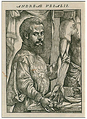 Andrés Vesalio (1514-1564)