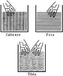 Termómetros comparables de mercurio y de alcohol