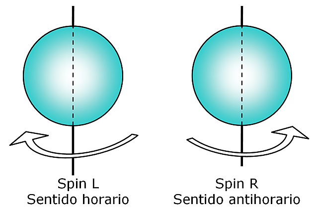 Principio de la exclusión