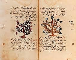 MEDICINA NATURAL (NATUROPATIA)