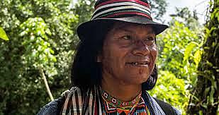 Decreto 1953 de 2014