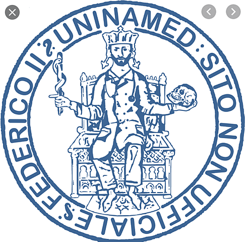 Universidad de Napoles