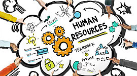 Timeline:  Evolución de los recursos humanos