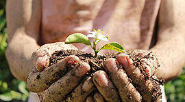 Timeline: desarrollo sustentable