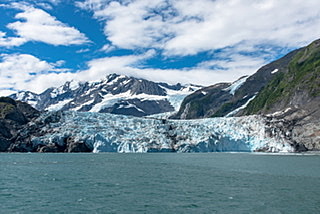 The Purchase of Alaska, Pg 410