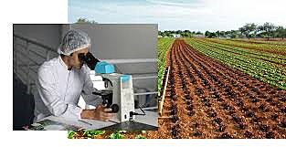 LA QUÍMICA EN LA AGRICULTURA