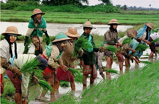 Hallazgos Historiadores