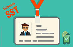 RESOLUCIÓN 4502 DE 2012