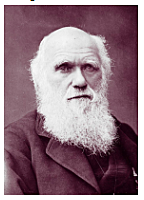 Educacion obligatoria