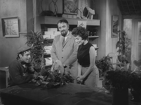 The Little Shop of Horrors