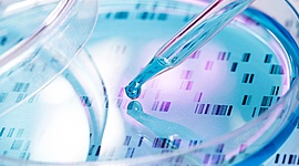Timeline: Preimplantation Genetic Diagnosis