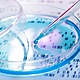 Preimplantation genetic testing at nef