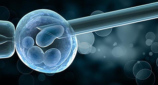 Development of Preimplantation Genetic Diagnosis (PGD)