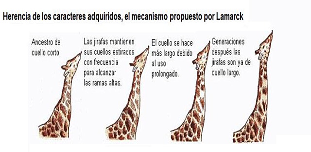 EL LAMARCKISME