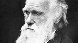 Timeline: Charles Darwin
