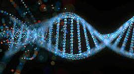 Timeline: The History of DNA