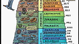 Timeline: Zgimbau Geologic Timeline