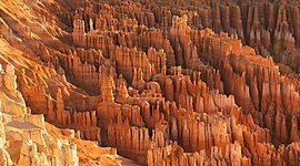 Timeline: Brendan Anderson Timeline