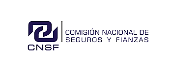 Comisión Nacional de Seguros y Fianza