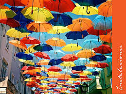 Instal·lacions d'Art Contemporani.