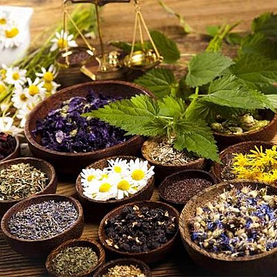 Timeline: TERAPIAS NATURALES