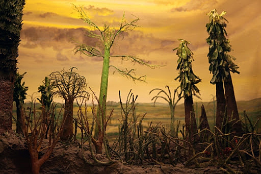 Permian Period & Extinction