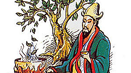 Timeline: HISTORIA DE LA TOXICOLOGIA