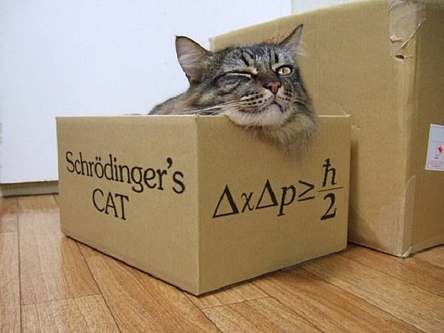 La ecuación de onda de Schrödinger.