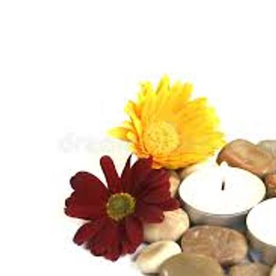 Timeline: TERAPIA NATURAL