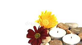 Timeline: TERAPIA NATURAL