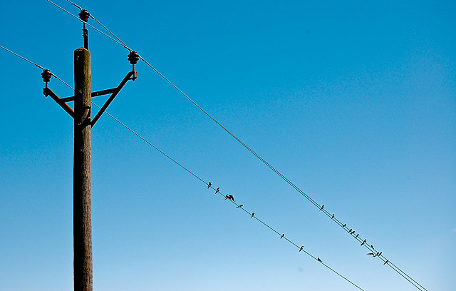 The First Telephone Wire