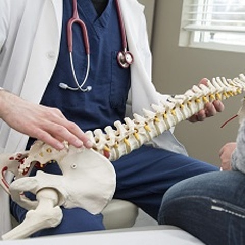 QUIROPRACTICA (ALTERNATIVA)