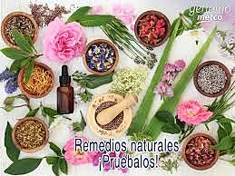REMEDIOS HERBALES